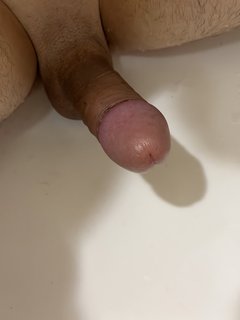 IMG_1561.jpeg