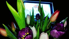 IMG_20260308_112107.jpg