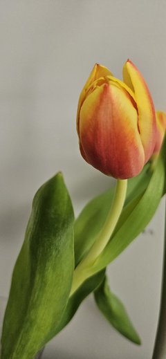 08.03.26🌷
