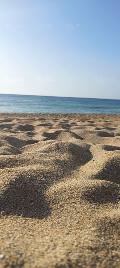 IMG20240628071547.jpg