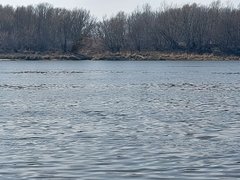 20260310_112526.jpg