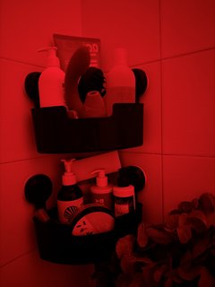 IMG_7725.jpeg