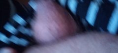 1000003777.jpg