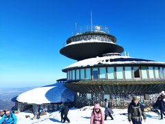 IMG_20260228_115154.jpg