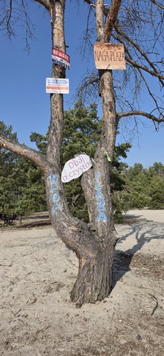 22880.jpg