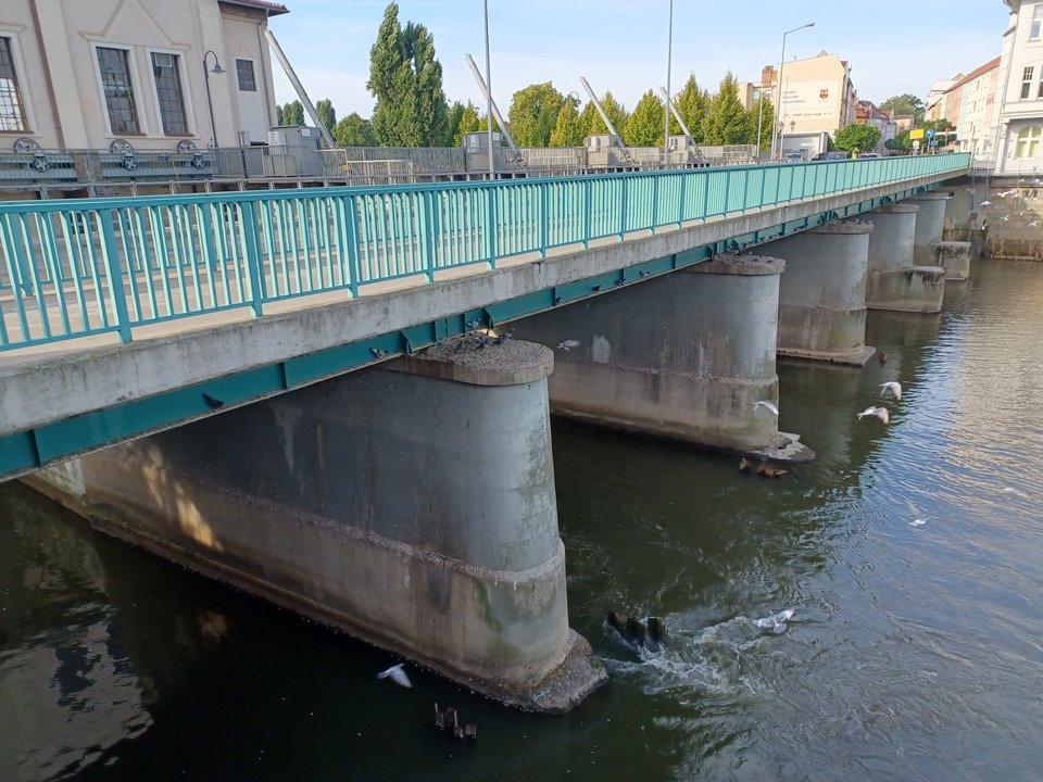 20220905_091546.jpg - zawszegoraca2