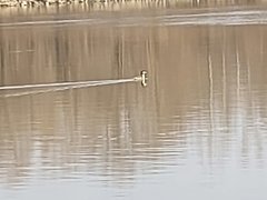 20260312_094454.jpg