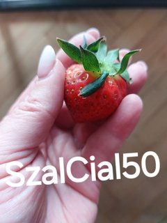 Moje 🙂