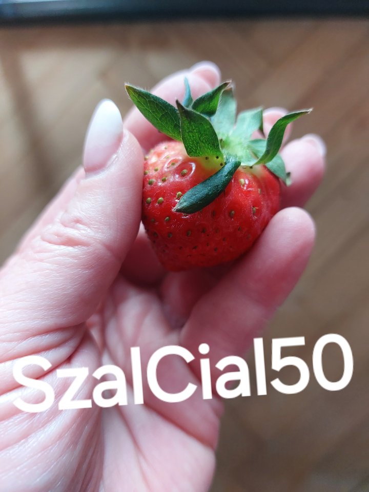 Moje 🙂 - SzalCial50