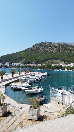IMG_20250706_141936.jpg