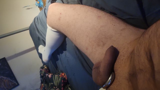 zabbaffalodz