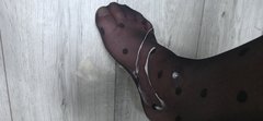 1000062802.jpg