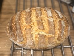 IMG_8262.jpeg
