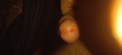 20260316_003802.jpg
