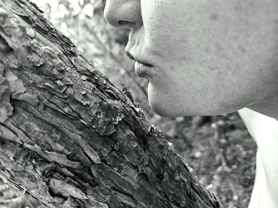 1000062239.jpg - Matylda077