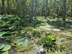 20250606_160515.jpg