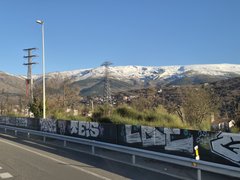 6247.jpg