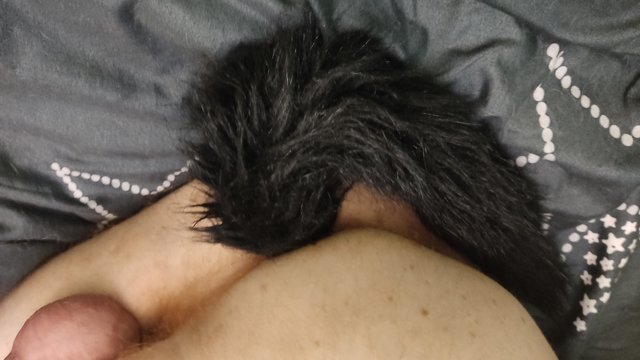 tygrysekl