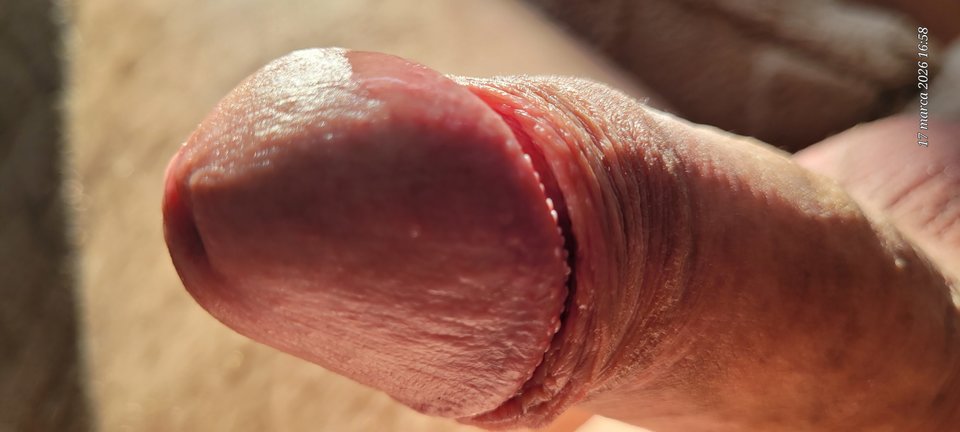 20260317_165843.jpg - Naturysta72