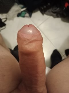 IMG_20241208_124855.jpg
