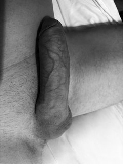 IMG_2486.jpeg