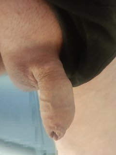 1000013101.jpg