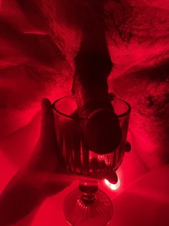 IMG_4285.jpeg