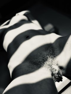 IMG_1174.jpeg