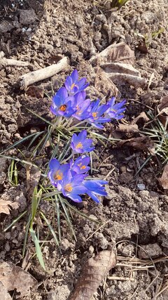 IMG_9493.jpeg