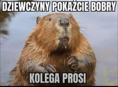 IMG_1978.jpeg