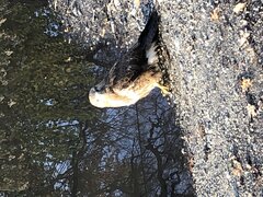 IMG_0270.jpeg
