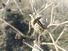 IMG_20260321_141356.jpg