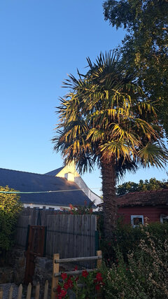 IMG_0045.jpeg