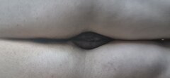 1000121147.jpg