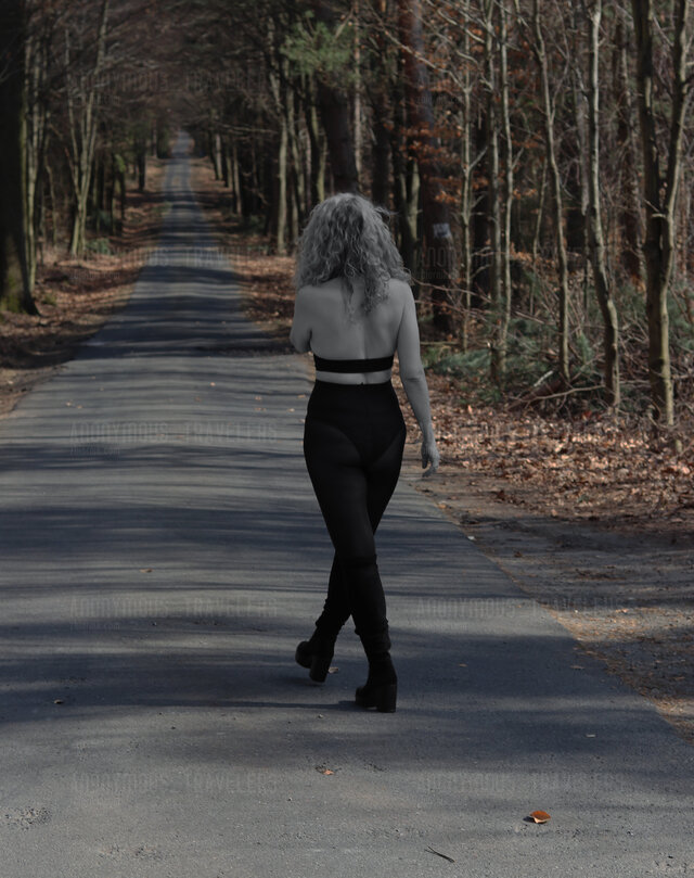 Anonymous_travelers