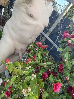 IMG_5102.jpeg