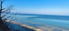 IMG_20260322_093258.jpg