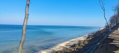 IMG_20260325_105012.jpg