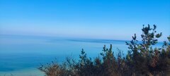 IMG_20260322_101015.jpg