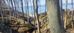 IMG_20260322_105944.jpg