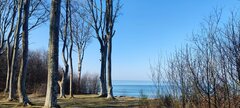 IMG_20260322_101355.jpg
