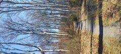 IMG_20260322_101345.jpg