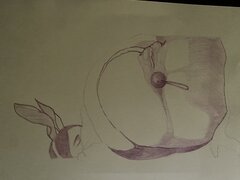 IMG_7264.jpeg