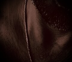 IMG_1079.jpeg