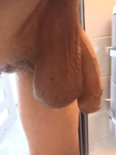 1000027446.jpg