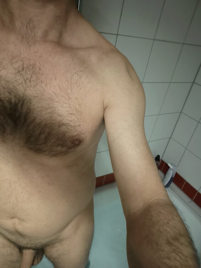 LysyKogucik1