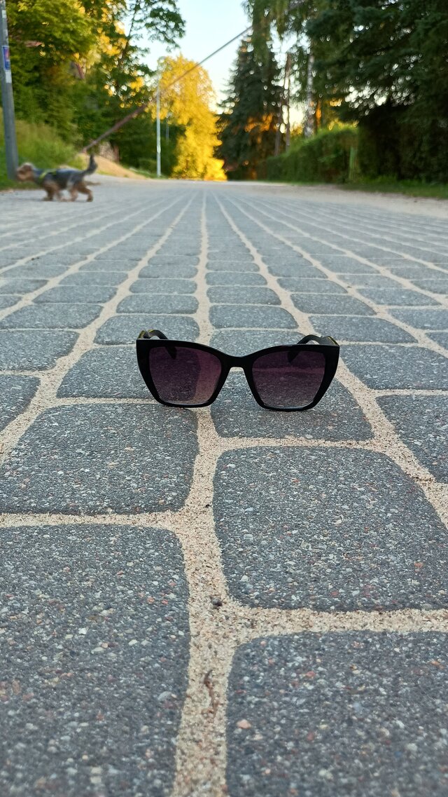 Gosc9