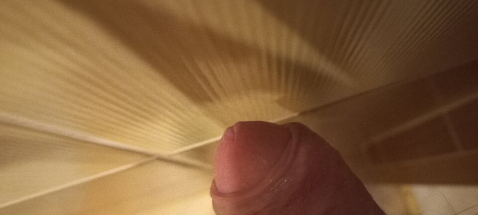 20260328_152939.jpg - maszizobacz