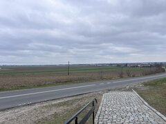 IMG_5304.jpeg