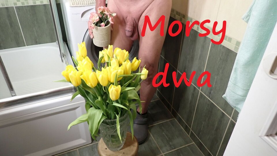 Z kwiatkami. - Morsy_dwa